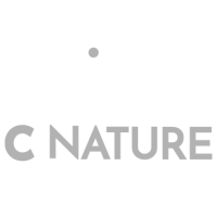 סינייגר